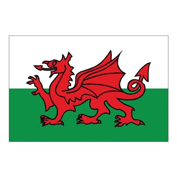 Welsh Courtesy Flag with toggles (30x45cm)